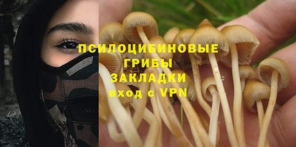 а пвп мука Армянск