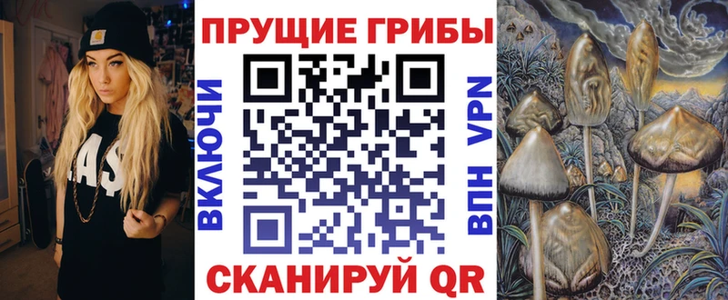 Галлюциногенные грибы Psilocybine cubensis  Нижнеудинск 