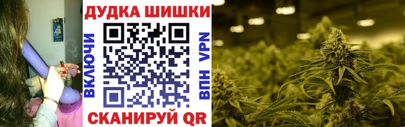 Марихуана планчик  где купить   Нижнеудинск 